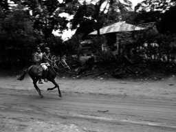 Haïti 08